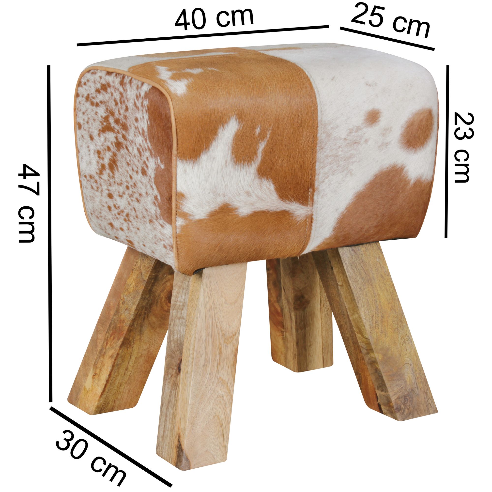43734-WOHNLING-Design-Turnbock-Sitzhocker-Ziegenf_1.jpg