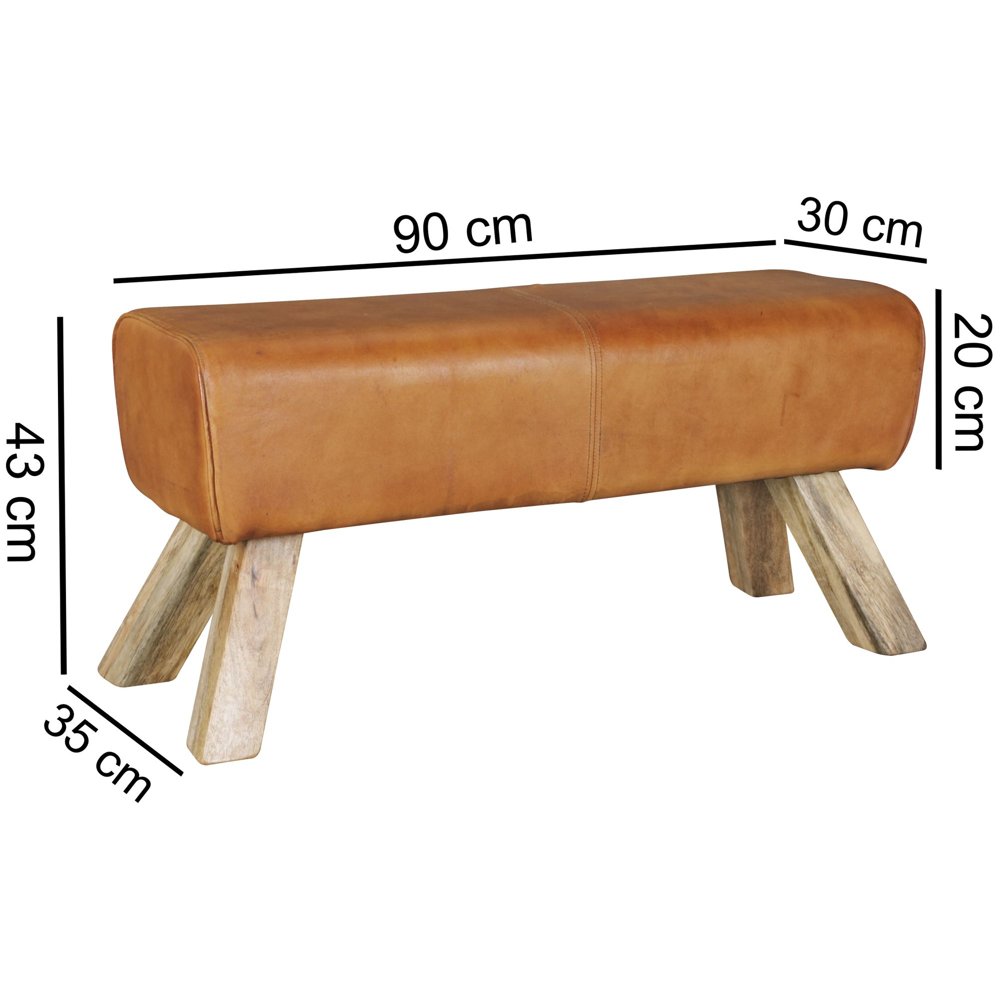 43729-WOHNLING-Design-Turnbock-Sitzbank-Echtleder-B.jpg